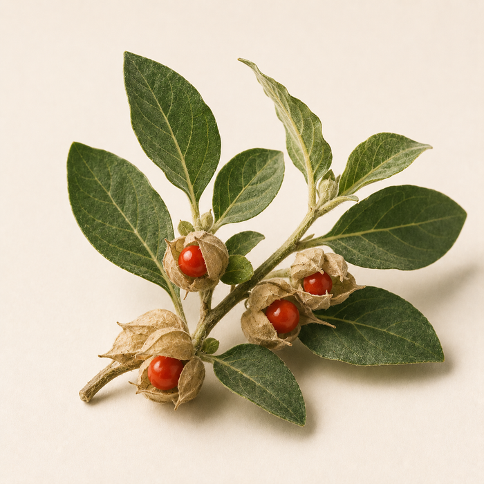 KSM-66 Ashwagandha — 274mg