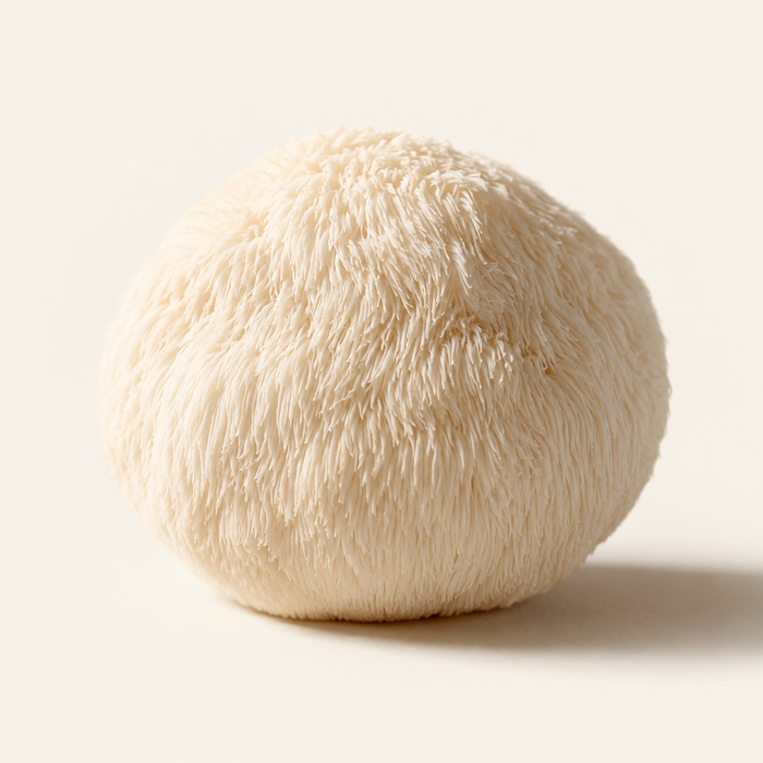 Lion’s Mane — 650mg