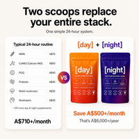 [day/night] — The Complete 24-Hour System