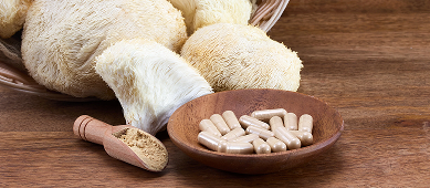 Lion's Mane Extract